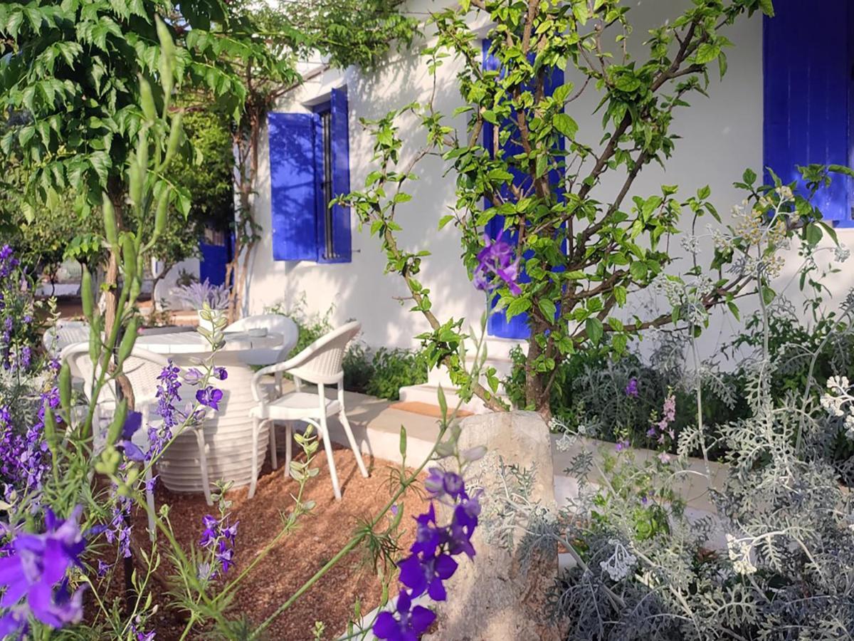 Anticlea II Villa Vathy  Exterior photo