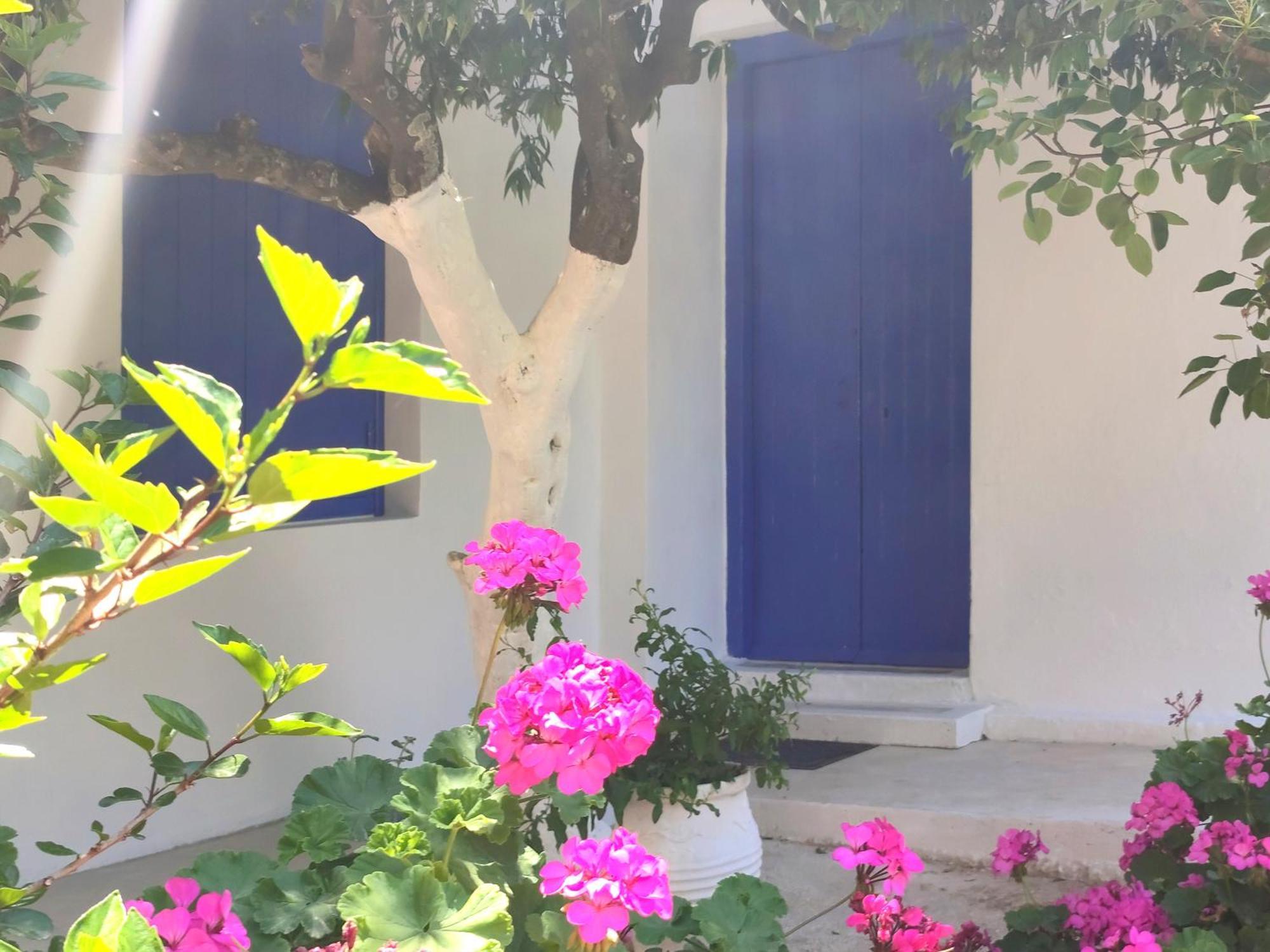 Anticlea II Villa Vathy  Exterior photo